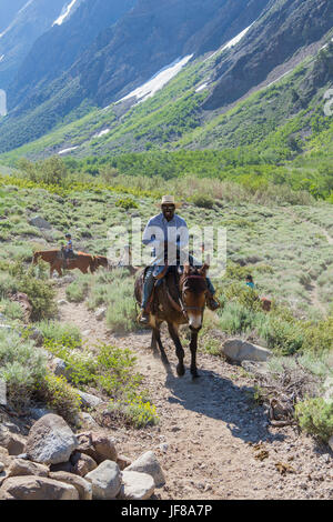 Les cavaliers de la tête de McGee pack station sur le sentier jusqu'McGee Canyon au printemps de 2017 Banque D'Images