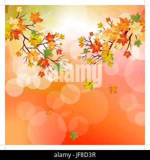 Automne feuilles d'érable Illustration de Vecteur