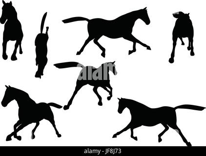 L'ossature en trot rapide poser Illustration de Vecteur