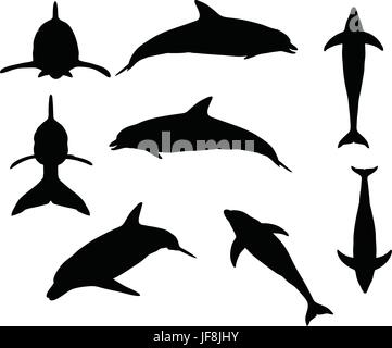 Silhouette dauphin Illustration de Vecteur