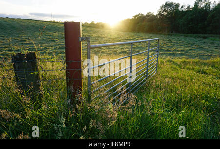 Ouvrez la porte métallique à un champ au coucher de soleil en Irlande du Nord