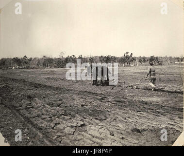 Règlement des soldats du Kentucky Estate - labourer un champ 27970604110 o Banque D'Images