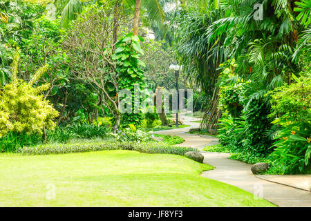 Très beau parc avec chemin sinueux en béton pour les piétons. Le parc est plein de diverses plantes tropicales du haut des arbres pour l'herbe basse. Banque D'Images