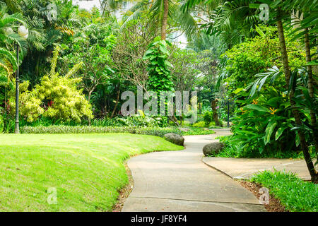 Très beau parc avec chemin sinueux en béton pour les piétons. Le parc est plein de diverses plantes tropicales du haut des arbres pour l'herbe basse. Banque D'Images