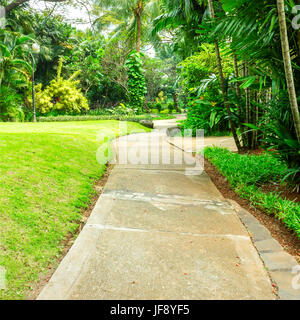 Très beau parc avec chemin sinueux en béton pour les piétons. Le parc est plein de diverses plantes tropicales du haut des arbres pour l'herbe basse. Banque D'Images