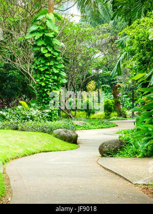 Très beau parc avec chemin sinueux en béton pour les piétons. Le parc est plein de diverses plantes tropicales du haut des arbres pour l'herbe basse. Banque D'Images