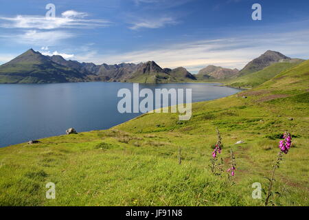 Vue sur la chaîne de montagnes Cuillin noires sur le Loch Scavaig depuis le sentier littoral près de Elgol, île de Skye, Highlands, Scotland, UK Banque D'Images