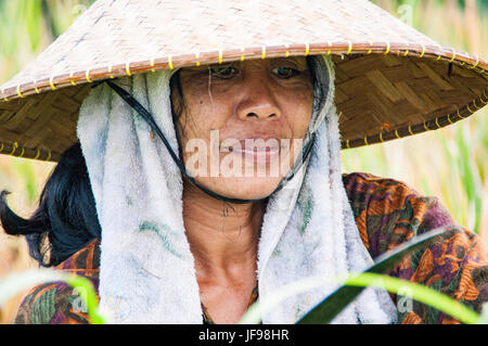 Ubud, Bali, Indonésie - Août 01, 2013. Un riziculteur balinais pose au cours d'une matinée de travail. Banque D'Images