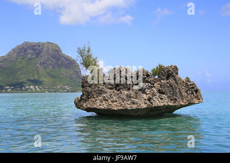 L'Ile Maurice, le cristal de roche, Le Morne Banque D'Images