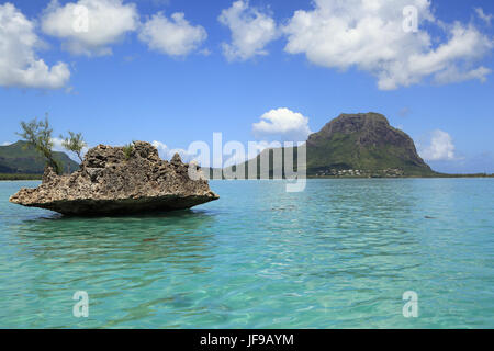 L'Ile Maurice, le cristal de roche, Le Morne Banque D'Images