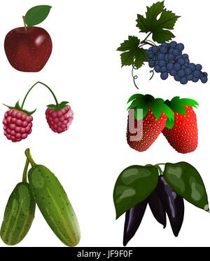 Jeu de fruits et légumes Illustration de Vecteur