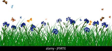 Barbeaux sur summer meadow Illustration de Vecteur