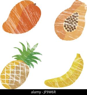 Les fruits tropicaux illustration Illustration de Vecteur