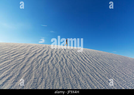 Plage de sable blanc Banque D'Images