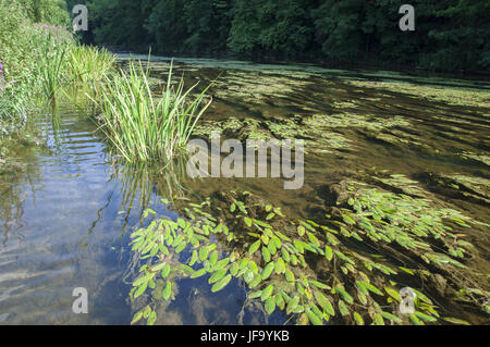 À proximité de la rivière Jagst Kirchberg, Allemagne Banque D'Images