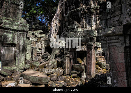 Ruines dans Ankor Wat, Cambodge Banque D'Images