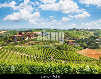 Panorama de vignobles du Piémont Banque D'Images