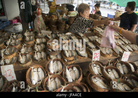 Thaïlande Bangkok MARCHÉ THEWET FISCH Banque D'Images