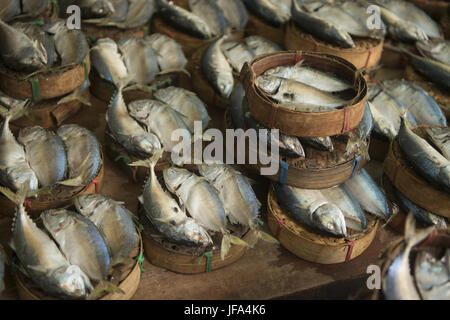 Thaïlande Bangkok MARCHÉ THEWET FISCH Banque D'Images