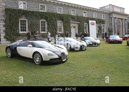 Goodwood, UK. 30 Juin, 2017. De Bugatti Veyrons groupe à Goodwood Festival of Speed Crédit : Malcolm Greig/Alamy Live News Banque D'Images