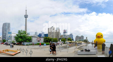 Toronto, Canada. 30 juin 2017. Le plus grand canard en caoutchouc faire c'est débuts canadiens dans le secteur riverain de Toronto pour célébrer le 150e anniversaire de la maison Redpath Waterfront Festival du 1 juillet au 3 juillet 2017. Dominic Chan/EXimages/Alamy Live News Banque D'Images