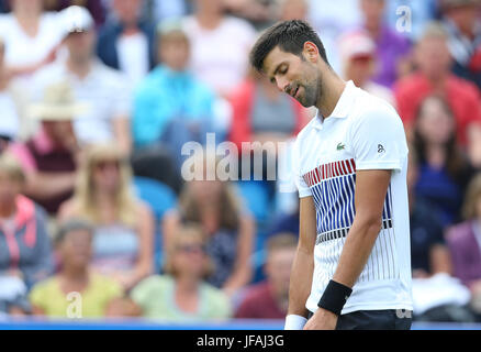 Eastbourne, Royaume-Uni 30 juin 2017 Novak Djokovic de Serbie réagit pendant son match contre Daniel Medvedev de la Russie dans la demi-finale au cours d'une sixième journée de l'International Aegon Eastbourne le 30 juin 2017, à Eastbourne, Angleterre Crédit : Paul Terry Photo/Alamy Live News Crédit : Paul Terry Photo/Alamy Live News Banque D'Images