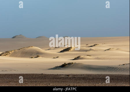 Dunes de sable, le Skeleton Coast National Park, la Namibie. Banque D'Images