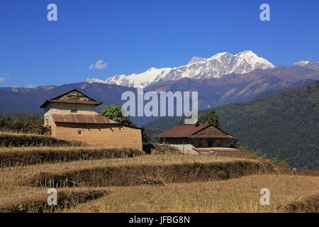 Maisons de ferme et d'Annapurna Banque D'Images