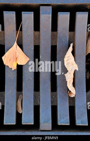 L'automne sur l'abri du trou Banque D'Images