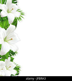Direction générale de l'arrière-plan cadre frontière avec les feuilles et fleurs blanches lily, de l'espace pour texte, modèle de conception - Banque D'Images