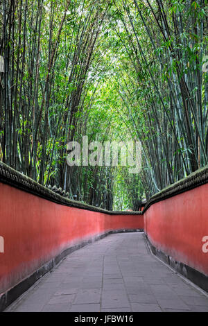 Passage couvert en bambou pacifiques à travers le Sanctuaire Wuhou à Chengdu, province du Sichuan, Chine Banque D'Images