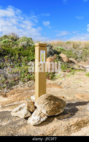 Marqueur de piste de pin sur le cap à suivre Le Cap au Cap Leeuwin, au sud-ouest de l'Australie Occidentale Banque D'Images