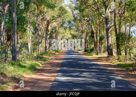 Route bordée d'étroit à Yelverton, au nord de Margaret River en Australie de l'Ouest Sud Ouest Banque D'Images