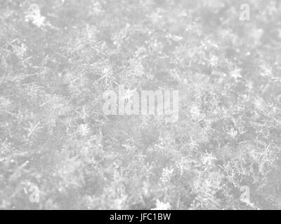 La texture de la neige blanc étincelant au soleil macro Banque D'Images