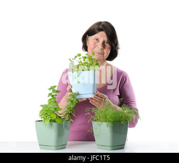 Femme âgée avec des semis de plantes en pots. Banque D'Images