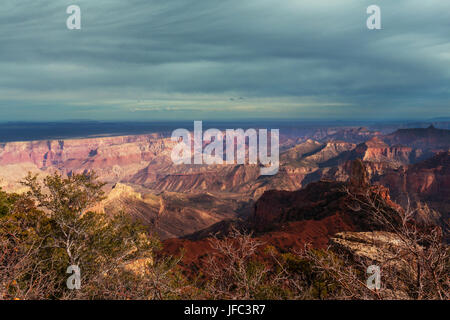 Grand Canyon Banque D'Images