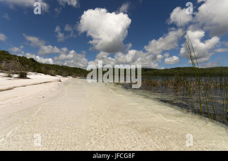 Superbe plage de sable blanc sur l'Australie sur le lac McKenzie Fraser Island Banque D'Images
