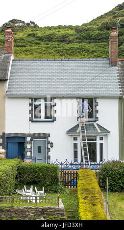 Un nettoyant homme travaillant sur une échelle sur la partie supérieure d'une maison de deux étages. Mortehoe village, Devon, Angleterre, Royaume-Uni. Banque D'Images