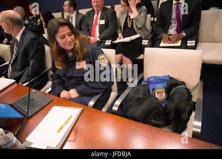 Chambre audience du sous-comité sur la sécurité intérieure "contributions à la canine mission DHS' - Sous-comité de surveillance et d'efficacité de gestion audition "de la frontière aux catastrophes et au-delà : Contributions à la canine critique Mission DHS', avec le témoignage de Customs and Border Protection, directeur du programme de formation canine Damian Montes ; Transportation Security Administration Directeur Division de l'évaluation de menace Melanie Harvey ; la patrouille frontalière américaine sous-chef par intérim des forces de l'ordre des programmes d'Operations-Specialty Peter Jaquez ; Ministère de la Sécurité intérieure des sciences et de la technologie Banque D'Images