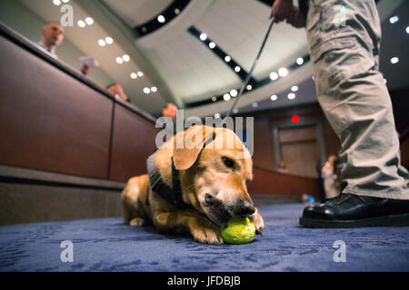 Chambre audience du sous-comité sur la sécurité intérieure "contributions à la canine mission DHS' - Sous-comité de surveillance et d'efficacité de gestion audition "de la frontière aux catastrophes et au-delà : Contributions à la canine critique Mission DHS', avec le témoignage de Customs and Border Protection, directeur du programme de formation canine Damian Montes ; Transportation Security Administration Directeur Division de l'évaluation de menace Melanie Harvey ; la patrouille frontalière américaine sous-chef par intérim des forces de l'ordre des programmes d'Operations-Specialty Peter Jaquez ; Ministère de la Sécurité intérieure des sciences et de la technologie Banque D'Images