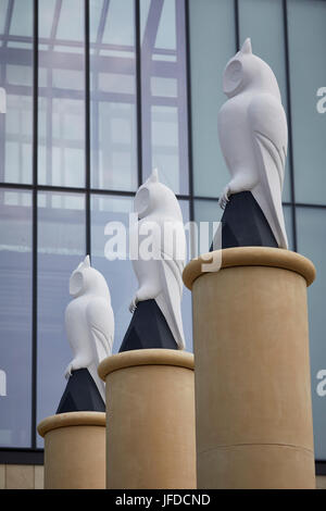 Oldham statues hibou Le développement de l'ancienne mairie, la place du Parlement, rue Greaves Banque D'Images