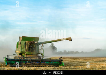 Récolte de blé. Moissonneuse-batteuse, la récolte du blé avec les poussières dans l'air du soir encore, Lancashire, England, UK Banque D'Images
