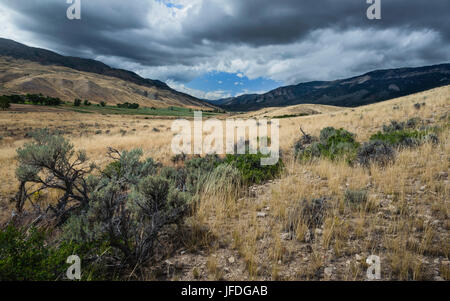 L'aride des prairies, de l'armoise avec pelouses sèches, et des montagnes Rocheuses et aperçu de verdure sur une journée ensoleillée près de Cody, Wyoming, USA. Banque D'Images