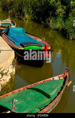 Bateaux dans El Plamar, la Albufera, Valencia, Espagne Banque D'Images