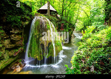 Bigar cascade est situé sur le 45 parallèle, dans la forêt de Brasov, Roumanie montagnes et est formé par un ressort de l'eau souterrain spectaculaire sorcière f Banque D'Images