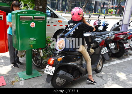 Super mignon caniche marron collant sa tête d'un sac à dos alors que sur un scooter à proximité d'une boîte aux lettres, Taipei, Taiwan. 94F d'aujourd'hui. Banque D'Images