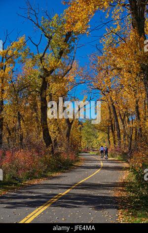 Des cyclistes sur le chemin pavé dans les arbres d'automne Banque D'Images