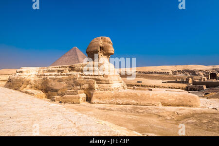 Sphinx et des pyramides de Gizeh, Le Caire Banque D'Images