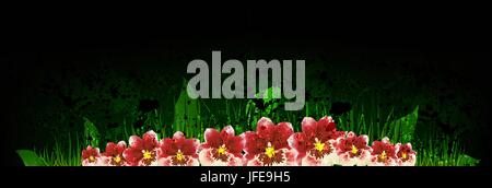 Vector grunge floral fond sombre. Fleurs d'orchidées. Modèles de bannière de texte. Fleurs orchidée Miltonia ou miltonopsis fait avec mesh. Illustration de Vecteur