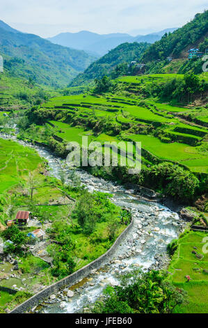 Les terrasses de riz de Hapao faisant partie du patrimoine mondial de Banaue vue, Luzon, Philippines Banque D'Images